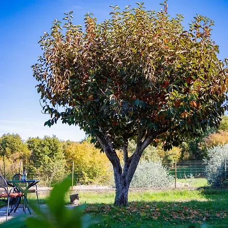 Casa de hóspedes Carpe Diem In Kosinozici - Istrien