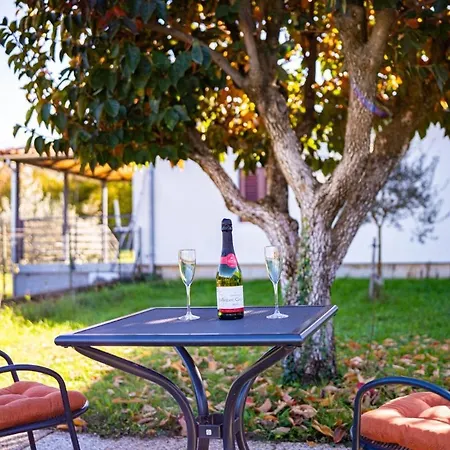Casa de hóspedes Carpe Diem In Kosinozici - Istrien *